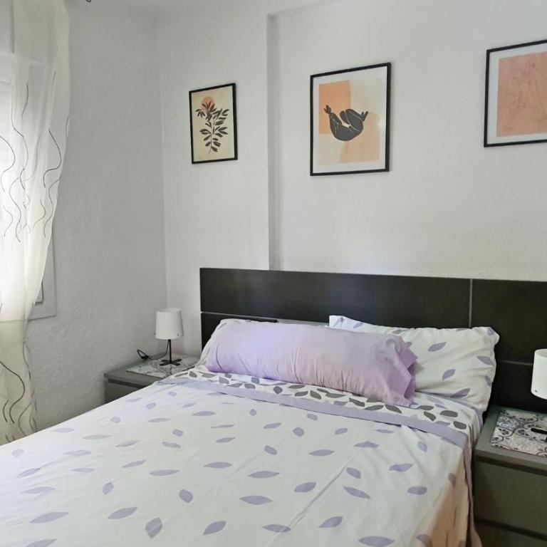 ROMA 7 - Alquiler solo Familias - Apartamento de 3 dormitorios - 27