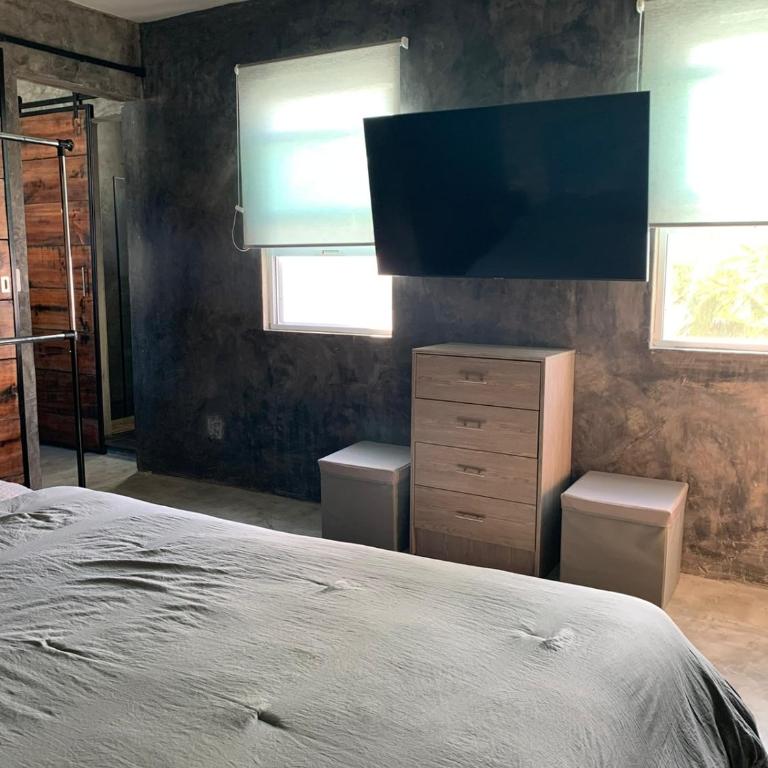 Areli - One-Bedroom Apartment - 3