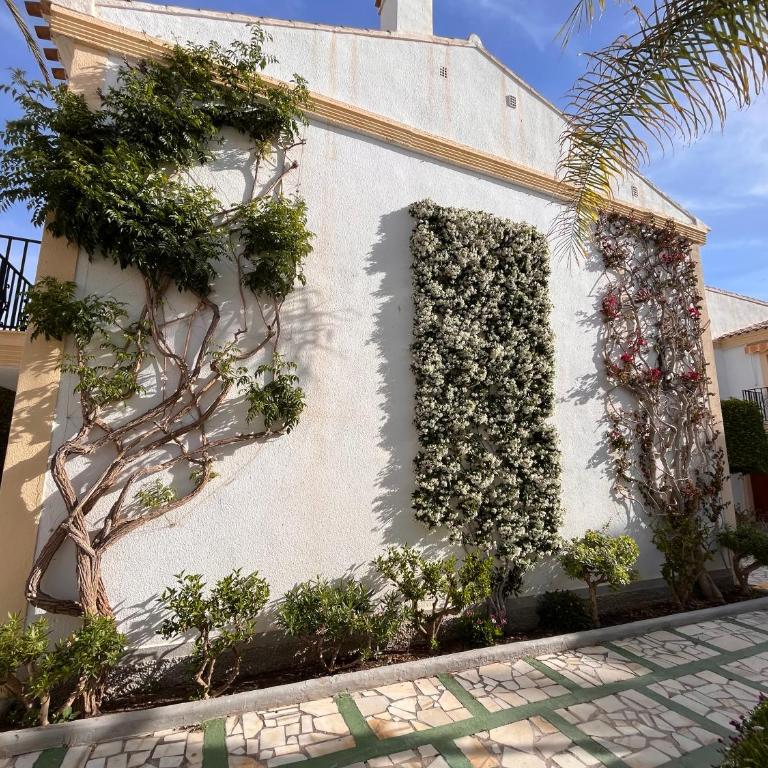 Dos Hermanas Vera Coast - Apartamento de 1 dormitorio - 38