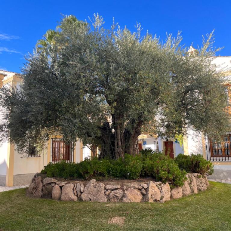 Dos Hermanas Vera Coast - Apartamento de 1 dormitorio - 36