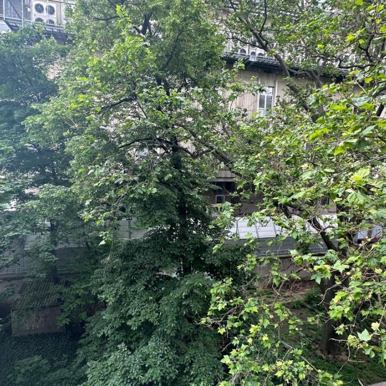 Apartman Moon - Apartman sa 1 Spavaćom Sobom - 13