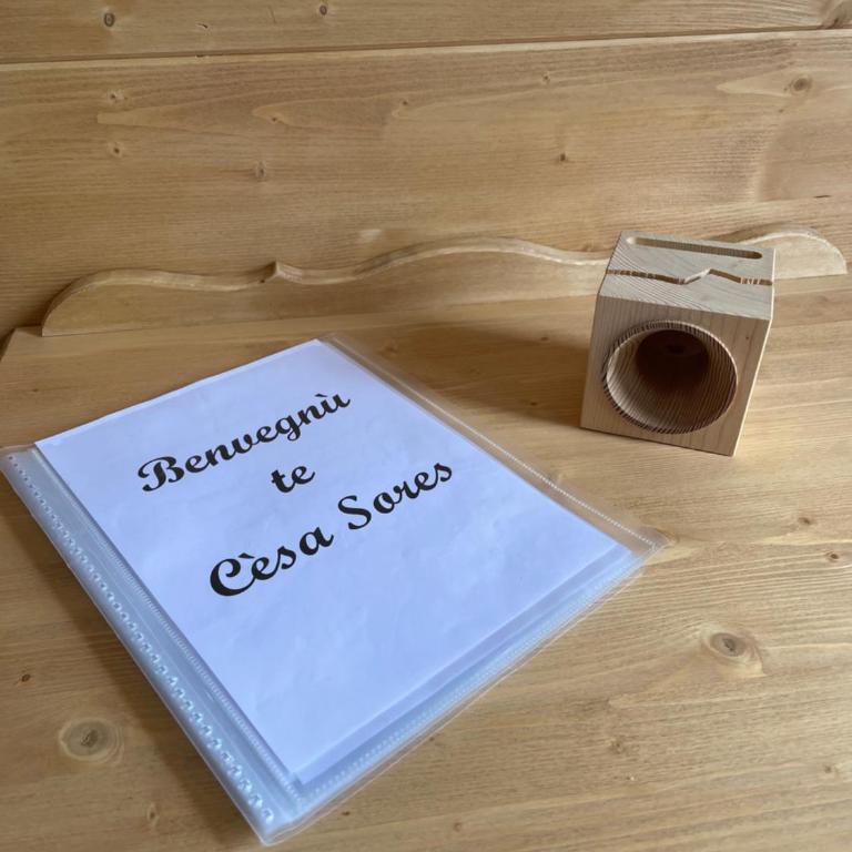 CIASA SORES - Appartamento Monolocale - 1