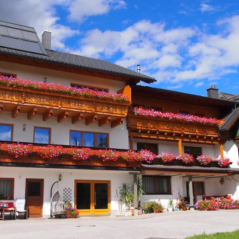 Appartements Wiesbach - Appartement - 1