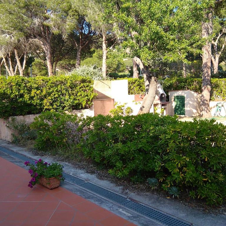 La casa dei nonni - services included - servizi inclusi - Casa con 3 Camere da Letto - 13
