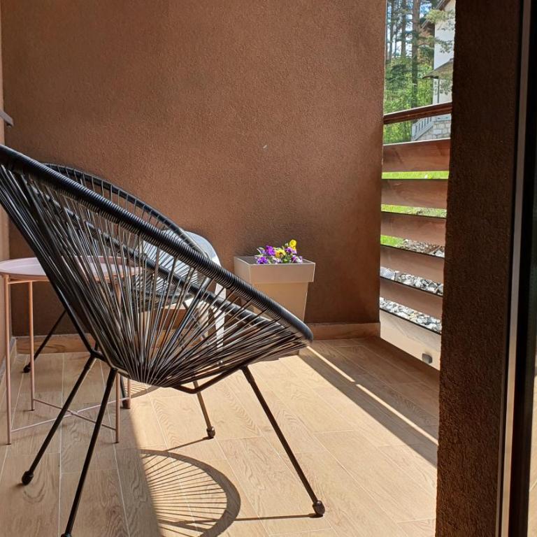 Lazarevic Lux - Vila Pekovic - One-Bedroom Apartment - 57