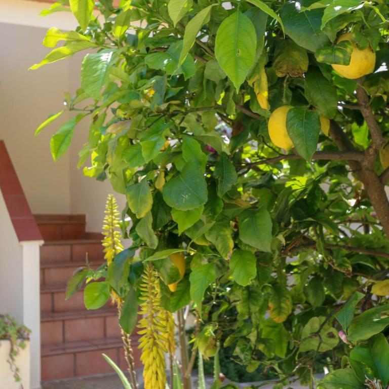 Casa Vacanze Arianna - Appartamento con 2 Camere da Letto - 23