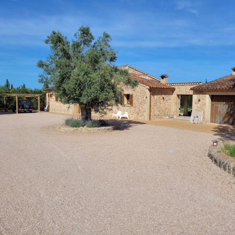 Villa Can Figuera - Villa - 22