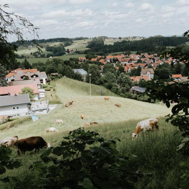 Ferienwohnung Alpenblick I Kamin I private Sauna - Apartment mit Blick auf die Berge - 41