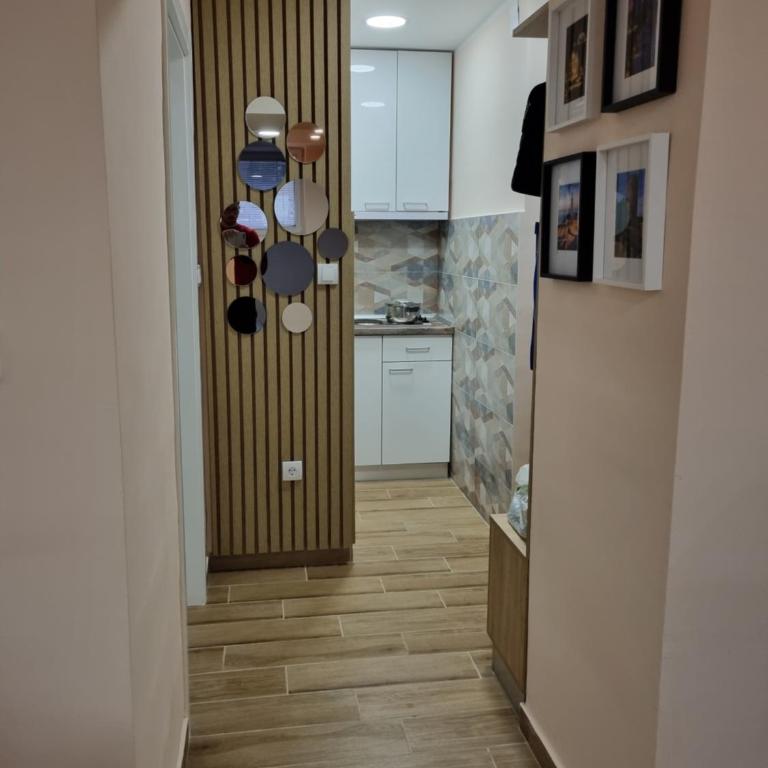 Apartman DoDoLuLu - Apartman sa 1 Spavaćom Sobom - 10