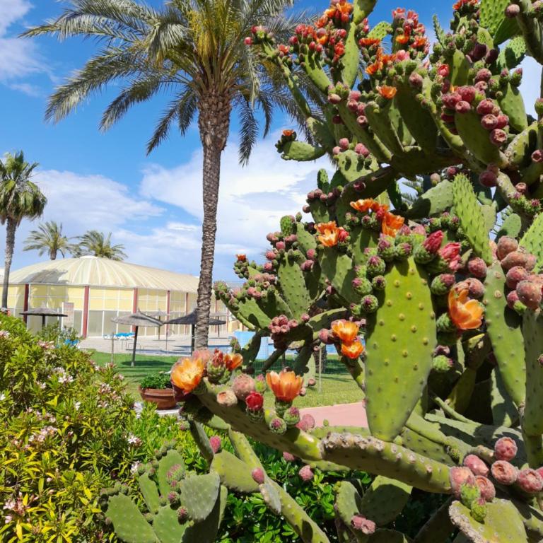"EL RINCON" naturist boutique apartment - Apartamento de 2 dormitorios - 23