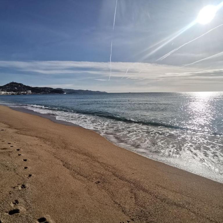 Apartment near the sea in Blanes S'Abanell Central Park - Apartamento de 2 dormitorios - 16