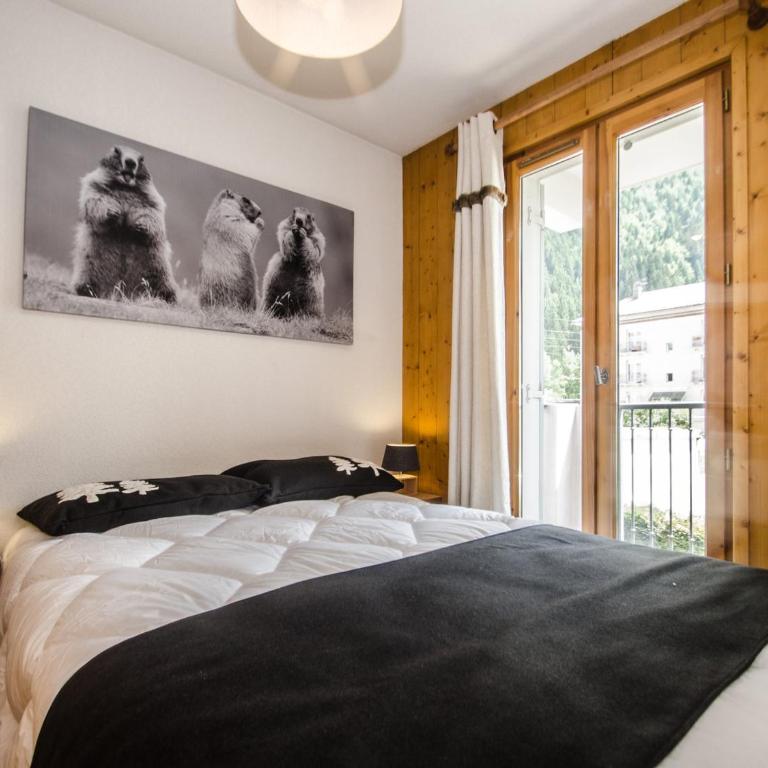 Appartement calme 3 étoiles avec Wi-Fi et parking, Chamonix - FR-1-343-212 - Apartment - 13