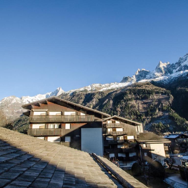 Studio cosy 3 pers, ski-in/ski-out Chamonix avec wifi et animaux admis - FR-1-343-217 - Estudio - 12