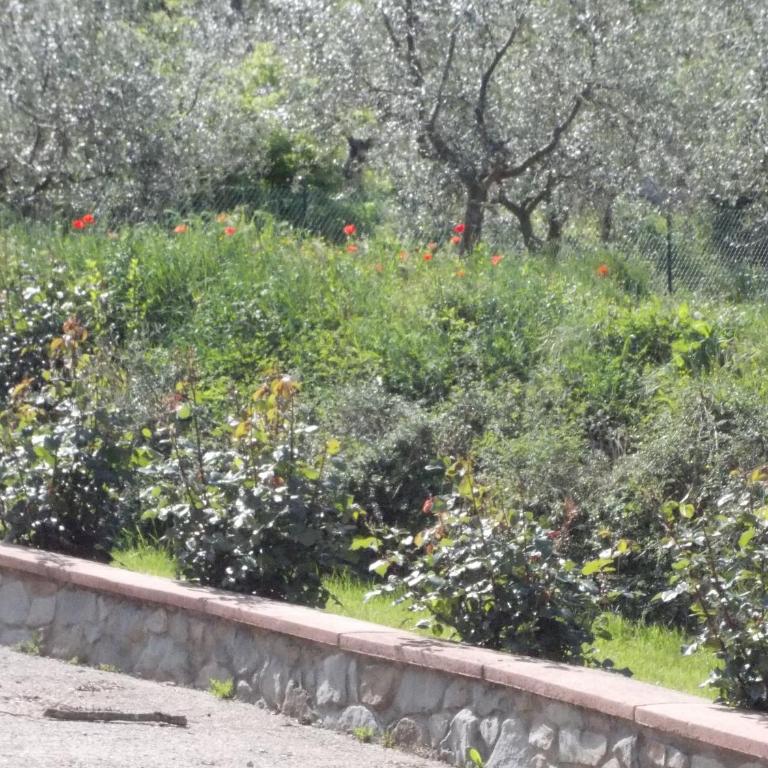 Villa Paola - Villa - 18