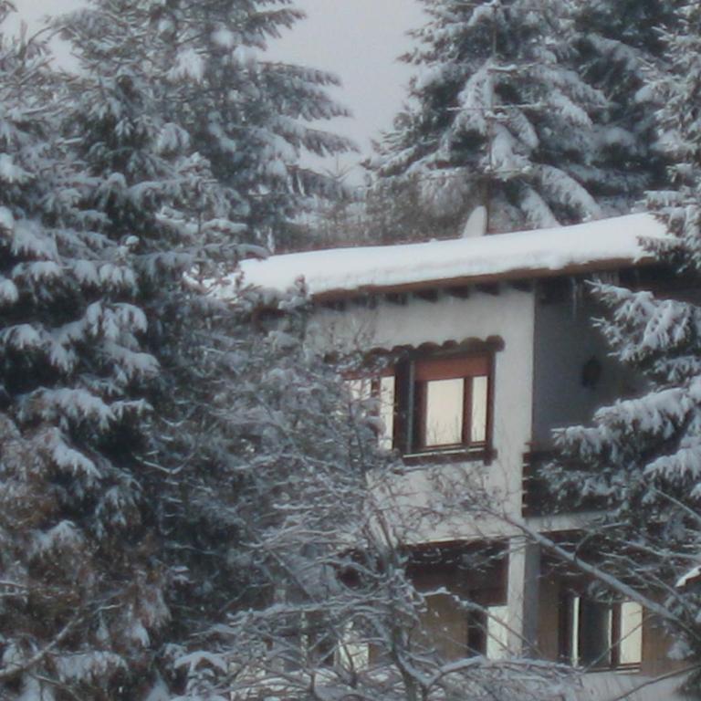 Haus-Lindenau - Appartamento con 1 Camera da Letto - 21