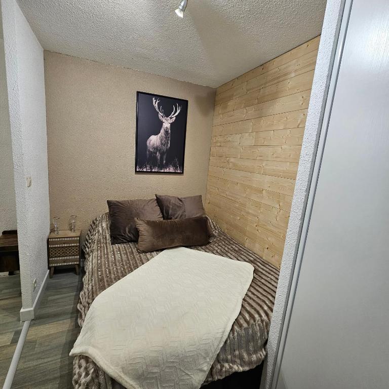 Appartement centre-ville - Appartement 1 Chambre - 10