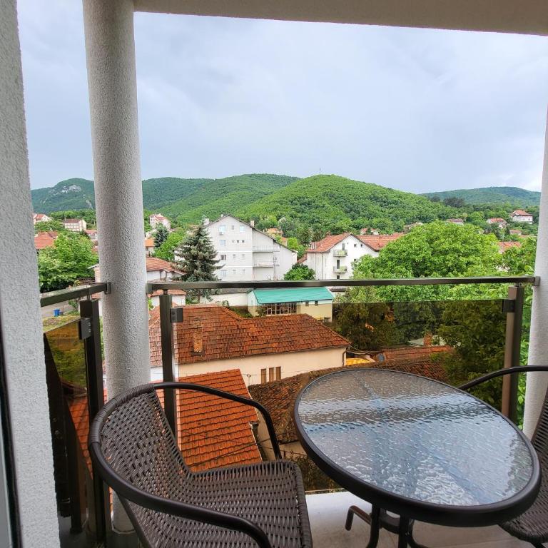 Vila Pčelica Petra - Apartman - 9