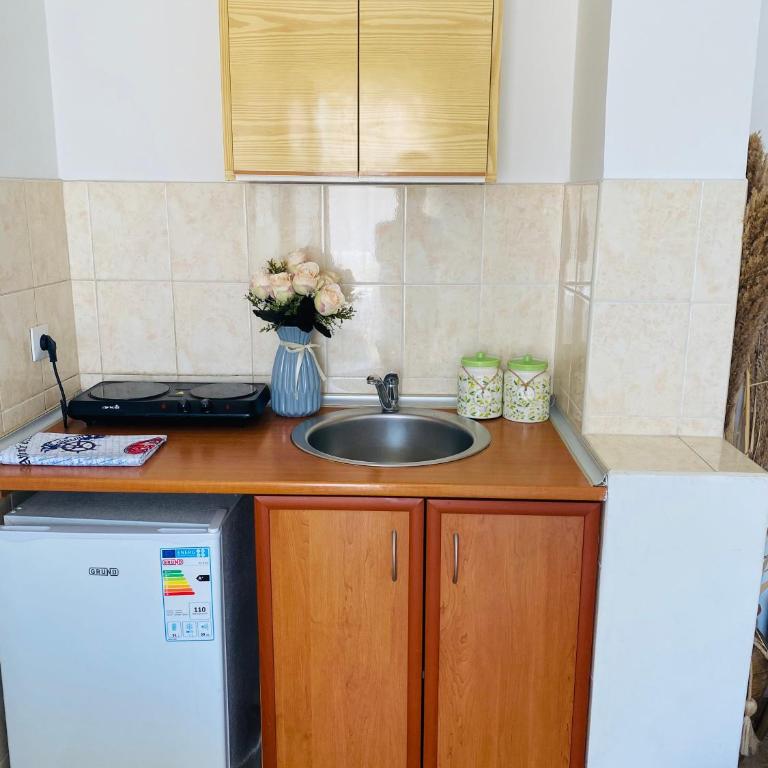 Miomir Perazic Apartments - Apartment with Sea View - 6