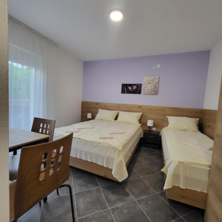 Vila Pčelica Petra - Apartman sa 1 Spavaćom Sobom - 1