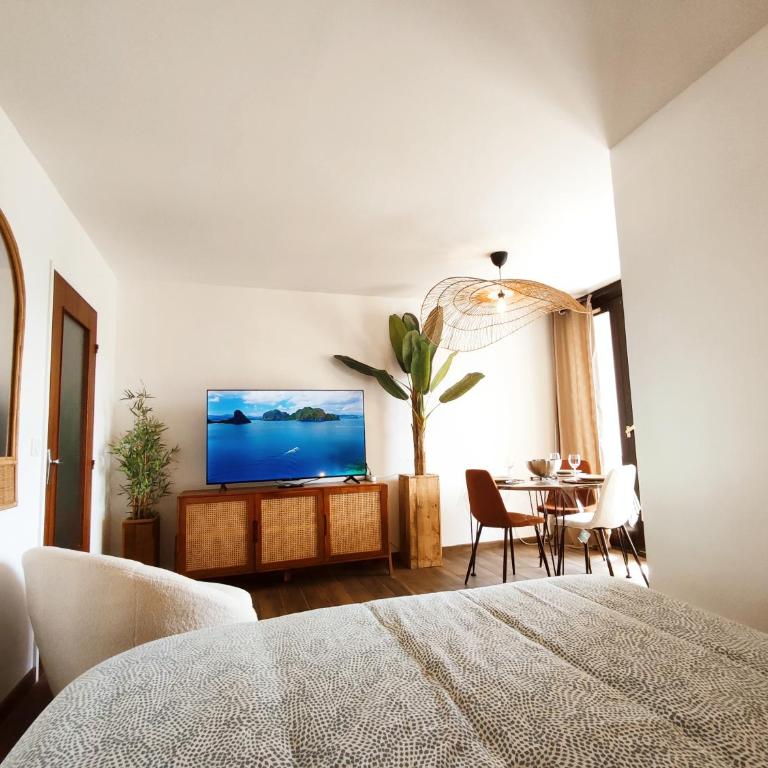 L'oasis du château ! "climatisé" - Apartamento de 1 dormitorio - 12