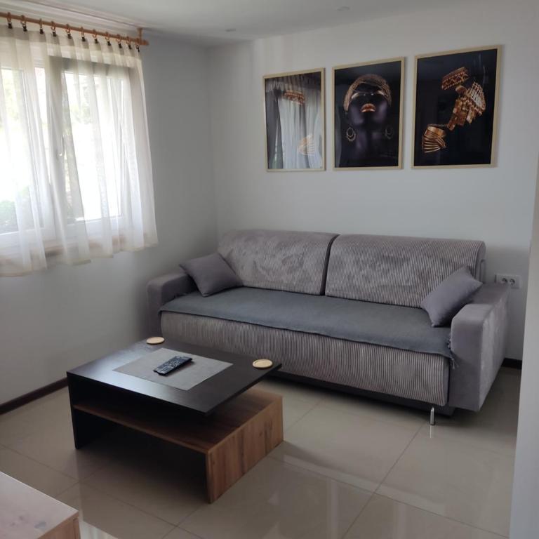 Apartmani SLADJANA - Apartman sa 1 Spavaćom Sobom - 4