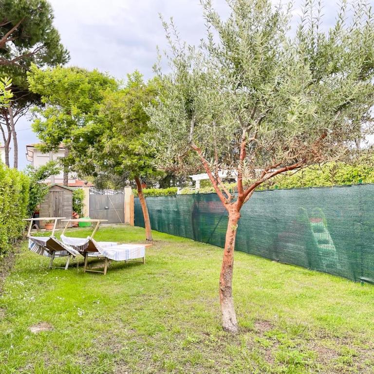 Villetta Vinci - Casa con 3 Camere da Letto - 10