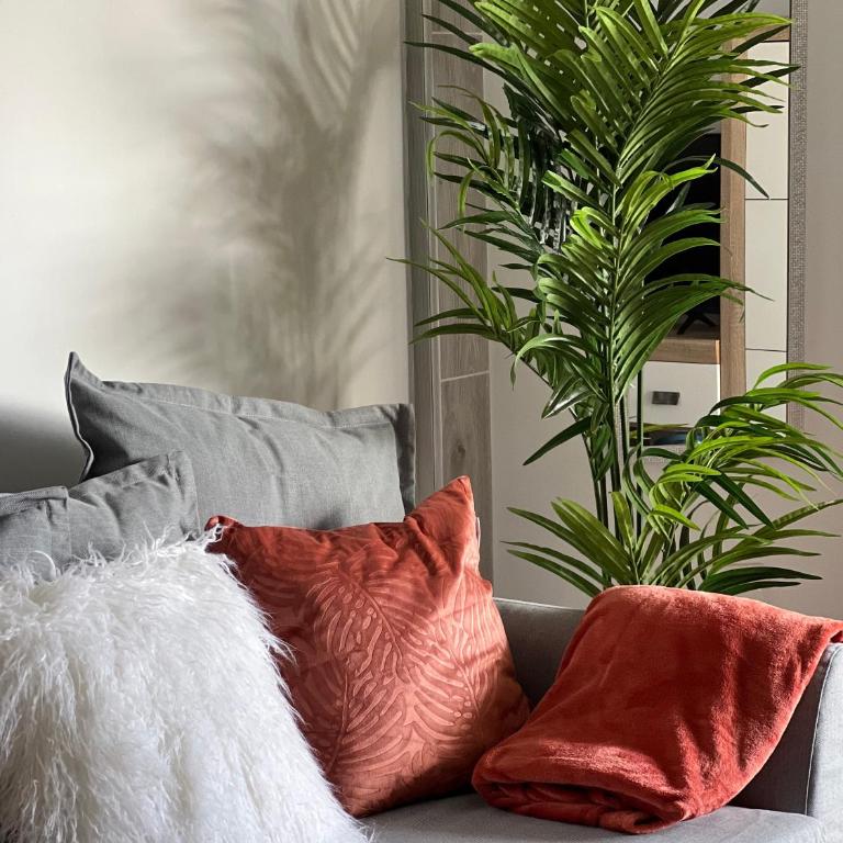 Aloha - Costa del Silencio - Apartamento de 1 dormitorio - 2