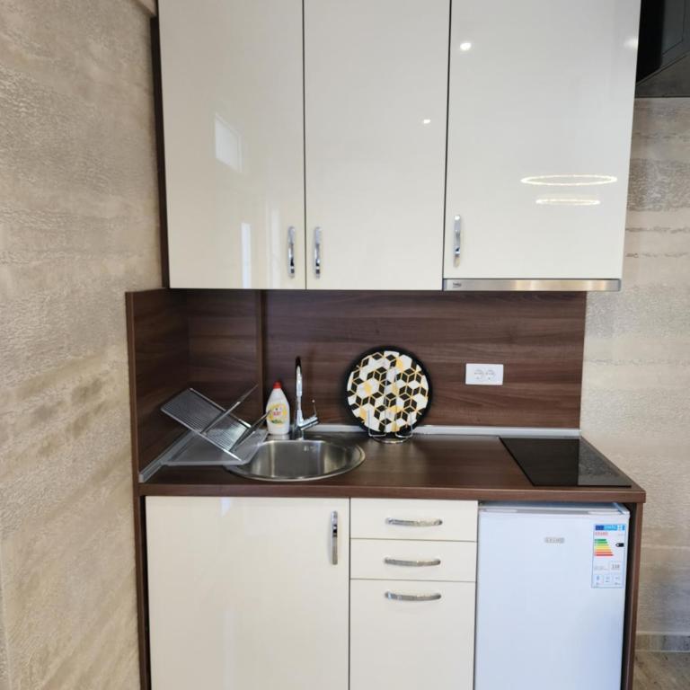 Ebra Lux Apartmani - Apartman sa 2 Spavaće Sobe - 15