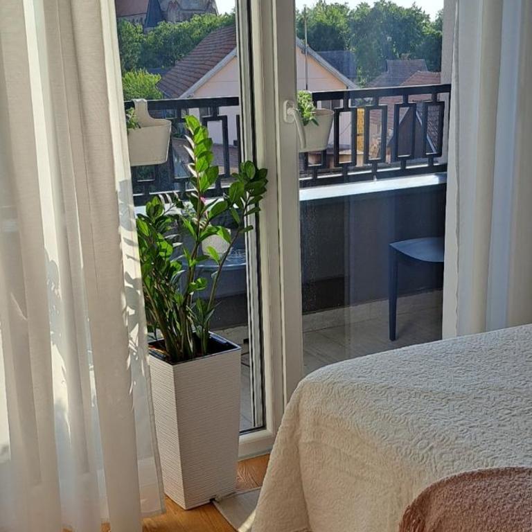 Omnia - One-Bedroom Apartment - 5