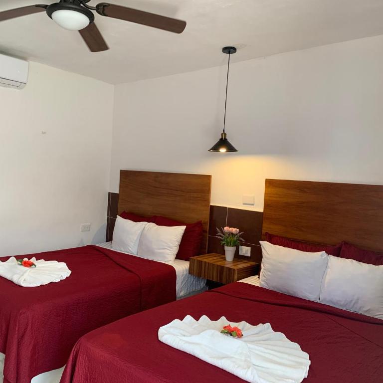 Hotel La Casa del Capi - Habitación Doble - 2 camas - 12