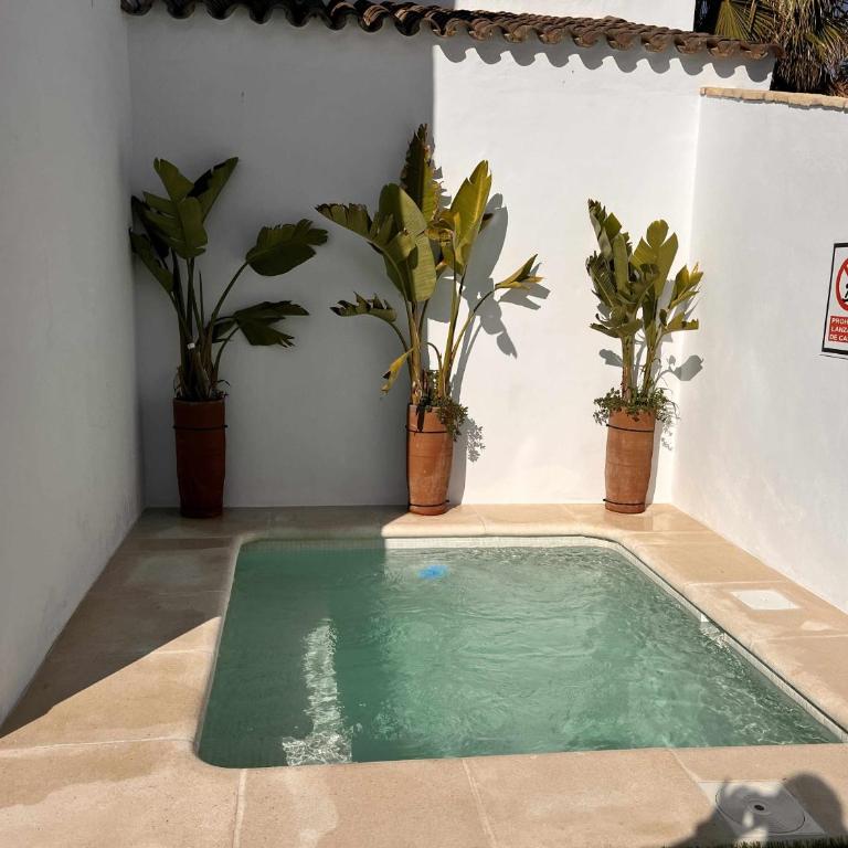 casita sol para 2 piscina privada - Suite Junior con piscina privada - 6