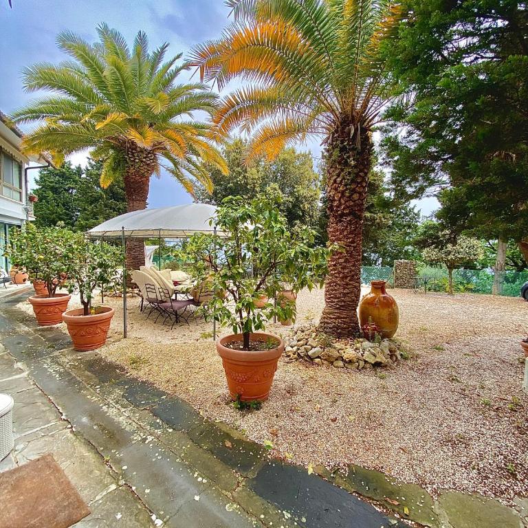 Le due palme Bed & Breakfast - Camera Familiare Deluxe - 2