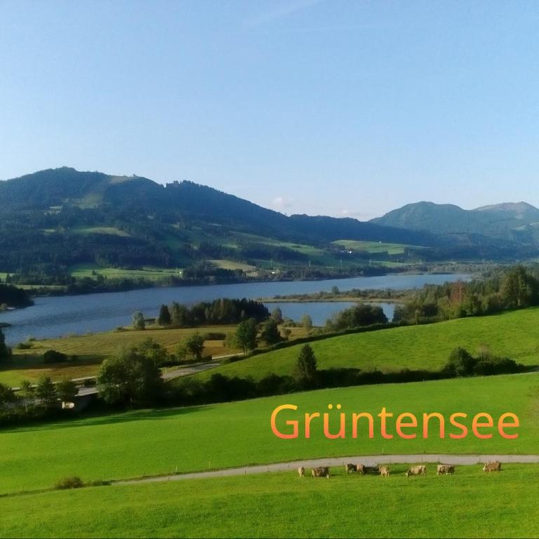 Ferienwohnung Schöne Auszeit - Apartamento de 1 dormitorio - 31