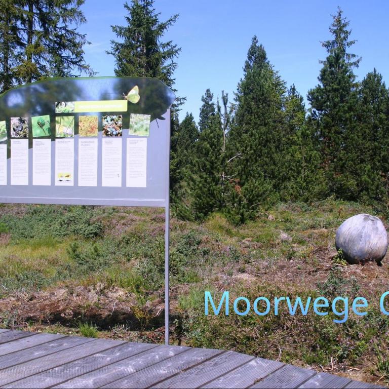 Ferienwohnung Schöne Auszeit - Apartamento de 1 dormitorio - 32