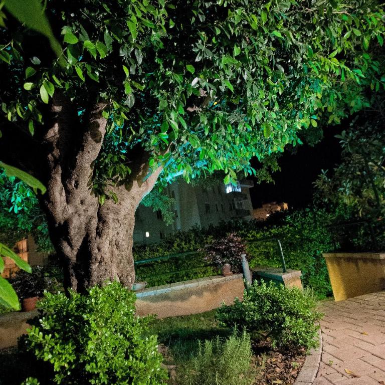 Casale La Zagara - Appartamento su 2 Livelli - 7