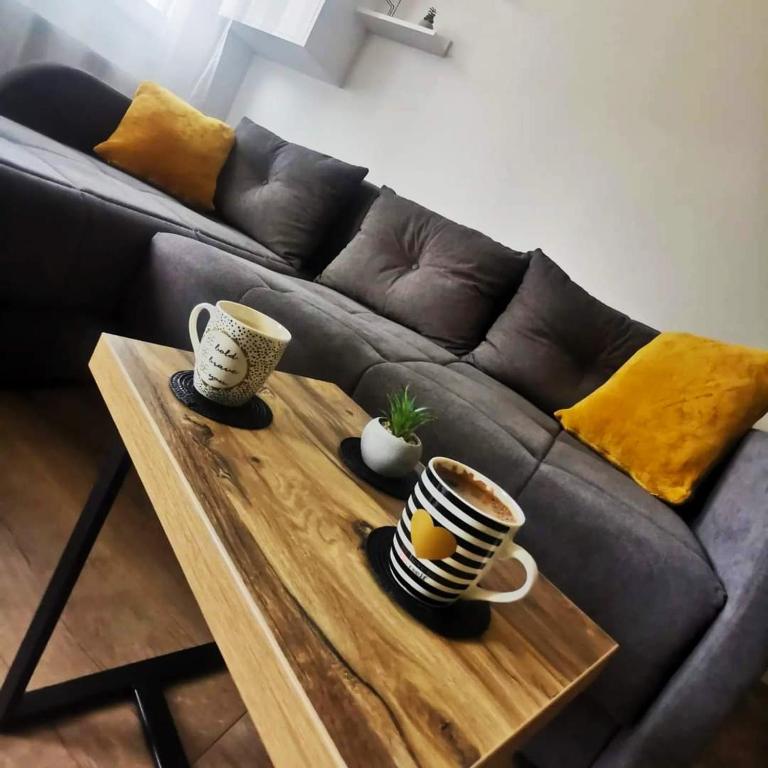 VIP Apartment - Apartman sa 1 Spavaćom Sobom - 11