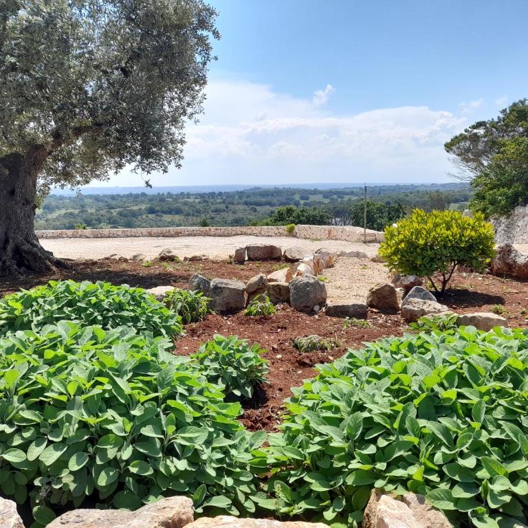 Masseria Poesia - Appartamento Deluxe - 9
