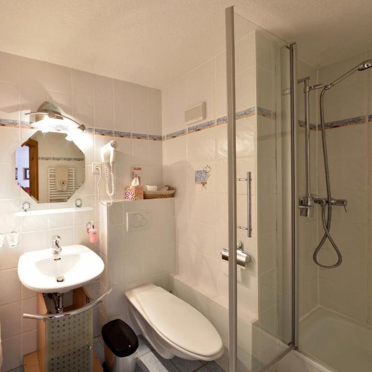 Hotel Les Mélèzes - Standard Doppelzimmer - 12
