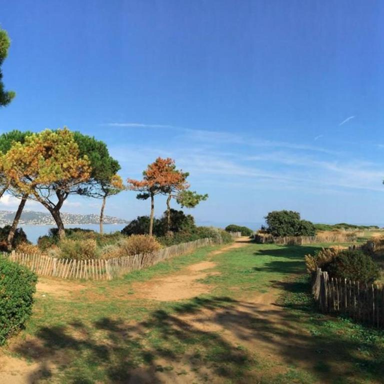 Sainte-Maxime: Appartement 2 pièces, proximité plage, parking inclus - FR-1-226-523 - Apartamento - 14