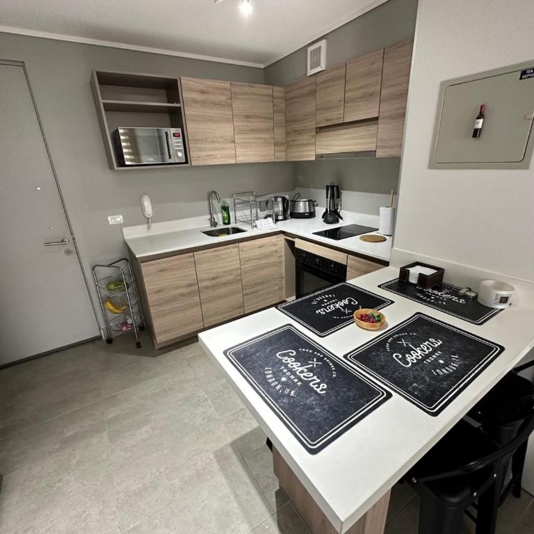 Hermoso departamento full equipado centro de Temuco - Apartamento de 1 dormitorio - 10