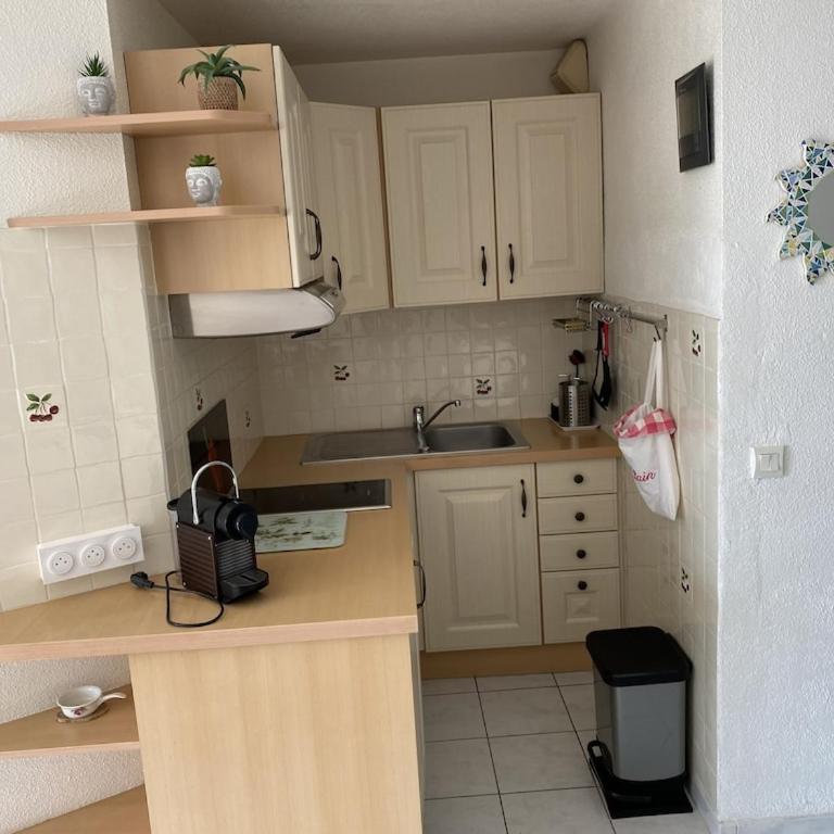 Canet plage face à la mer - Apartment mit 2 Schlafzimmern - 9