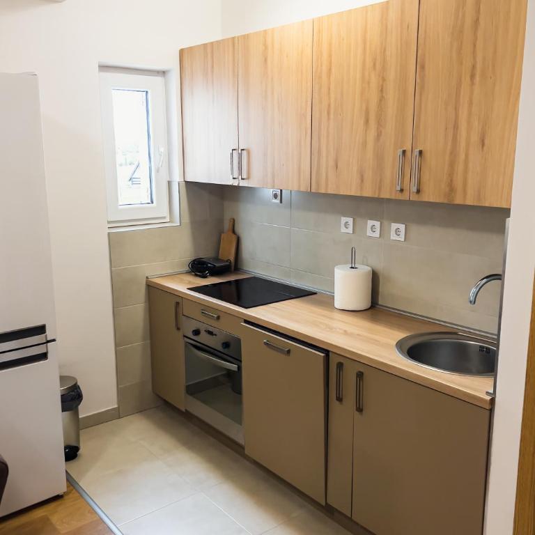 Apartmani Jovana - Apartman sa 3 Spavaće Sobe - 1
