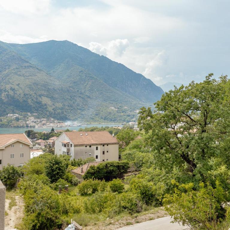 Lux Grand Apartment Kotor - Apartman sa 2 Spavaće Sobe - 24