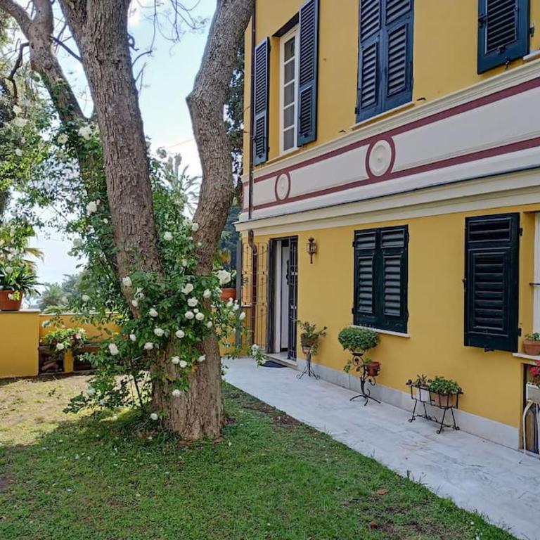 Casetta Jacaranda - Monolocale - 4