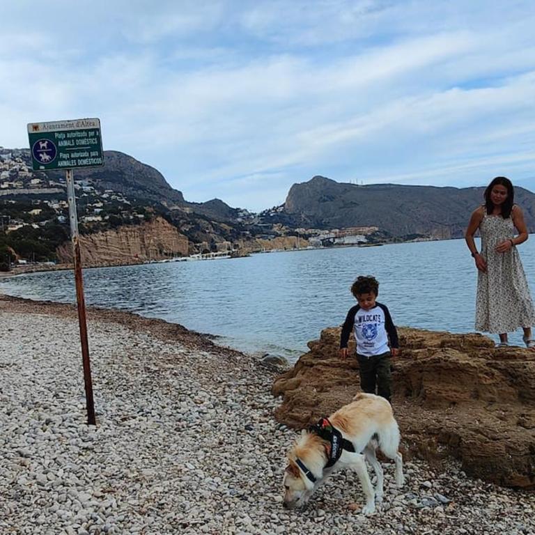 Villa Altea Moderna Vistas Panorámicas - Villa de 3 dormitorios - 38