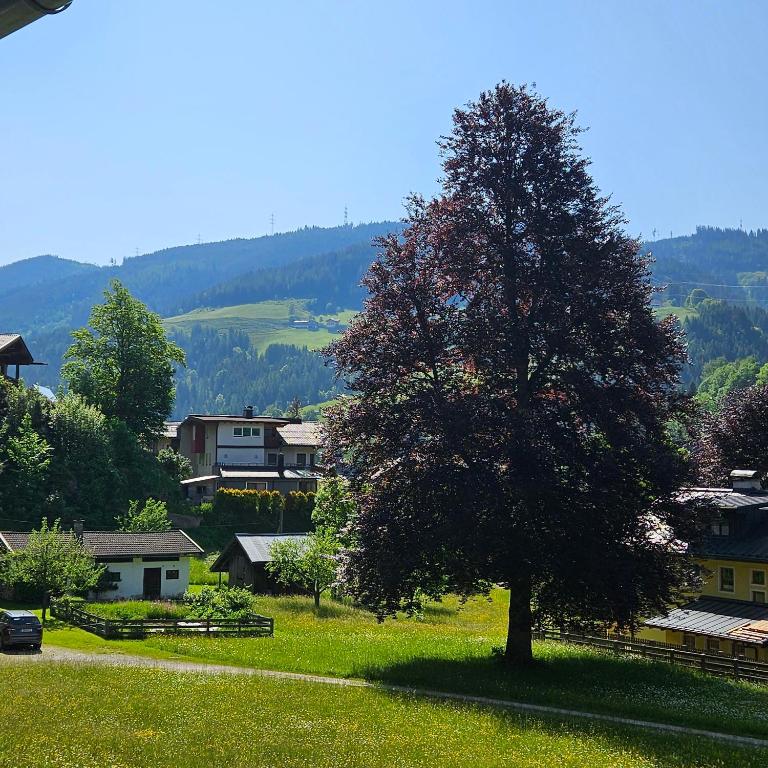 Haus Meikl - Apartment mit 2 Schlafzimmern und Dusche - 21