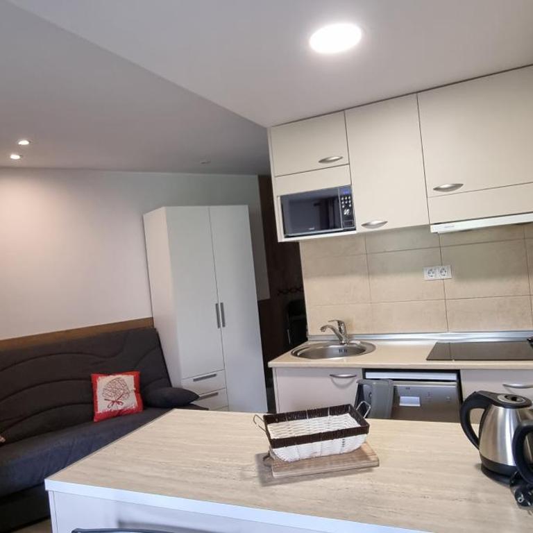 Apartamentos Grifo Vacances Grizzly - Apartamento Superior - 4