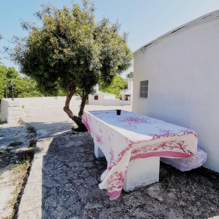 Little trullo Lucia - Villa con 1 Camera da Letto - 21