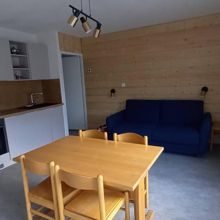 Appartements et studios dans un gite au pied des pistes - Estudio - 4