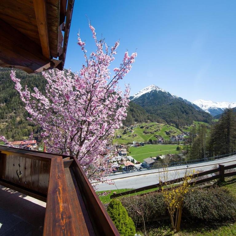 Haus Alpenstern - Deluxe Apartment - 4